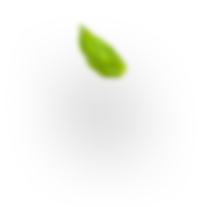 h3 leaf 1