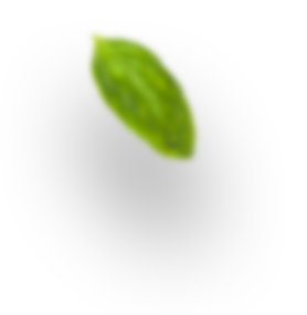 h4 leaf 1